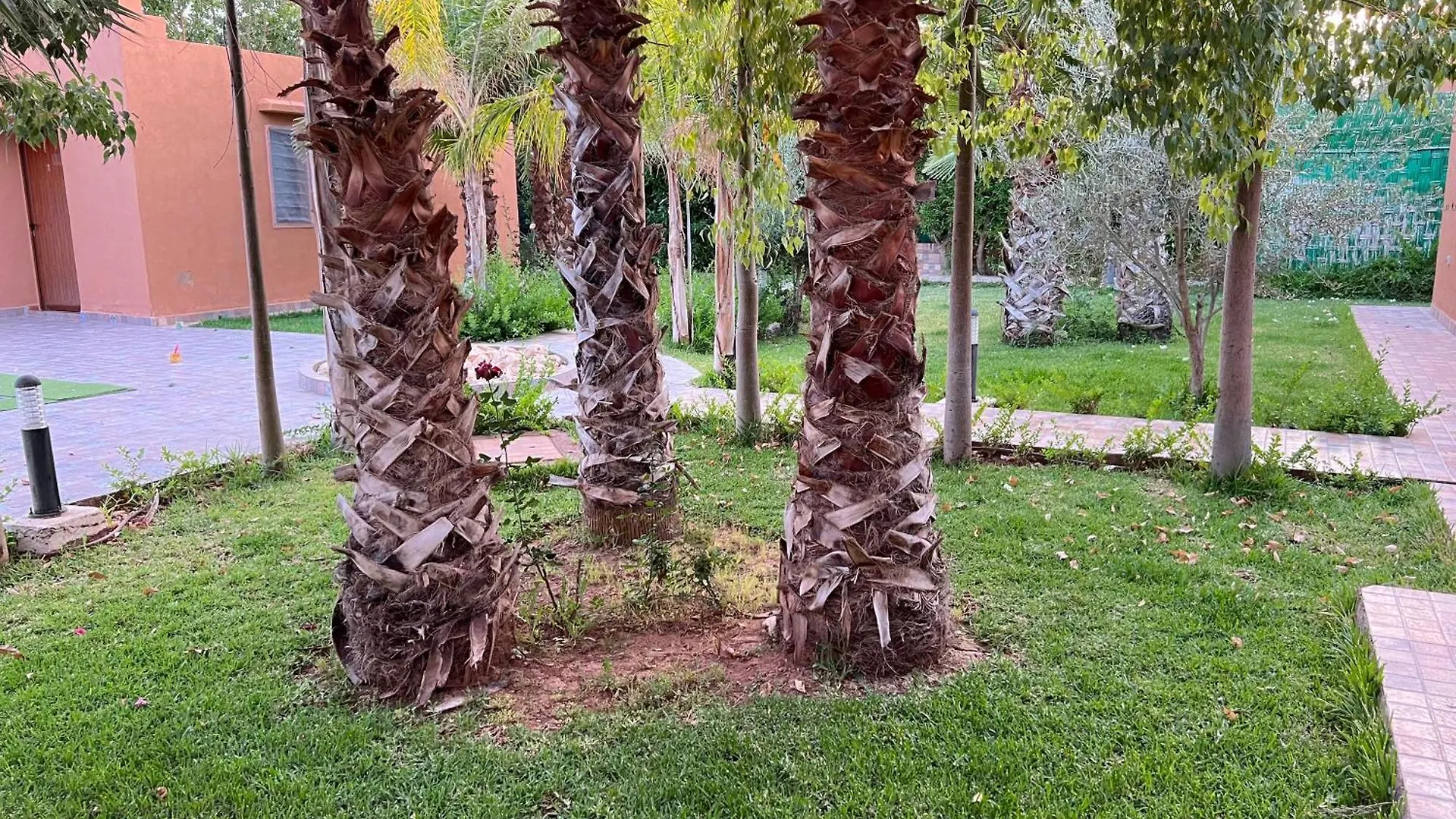 Villa De Luxe A Marrakech Marrakesh 0*,  Morocco